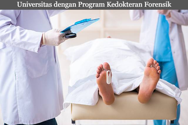 Lima Daftar Universitas dengan Program Kedokteran Forensik Terbaik 2023